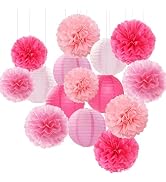 Light-Hot Pink Party-Decorations Paper-Flowers Lanterns- 15pcs Graduation Girl Birthday Decor Tis...