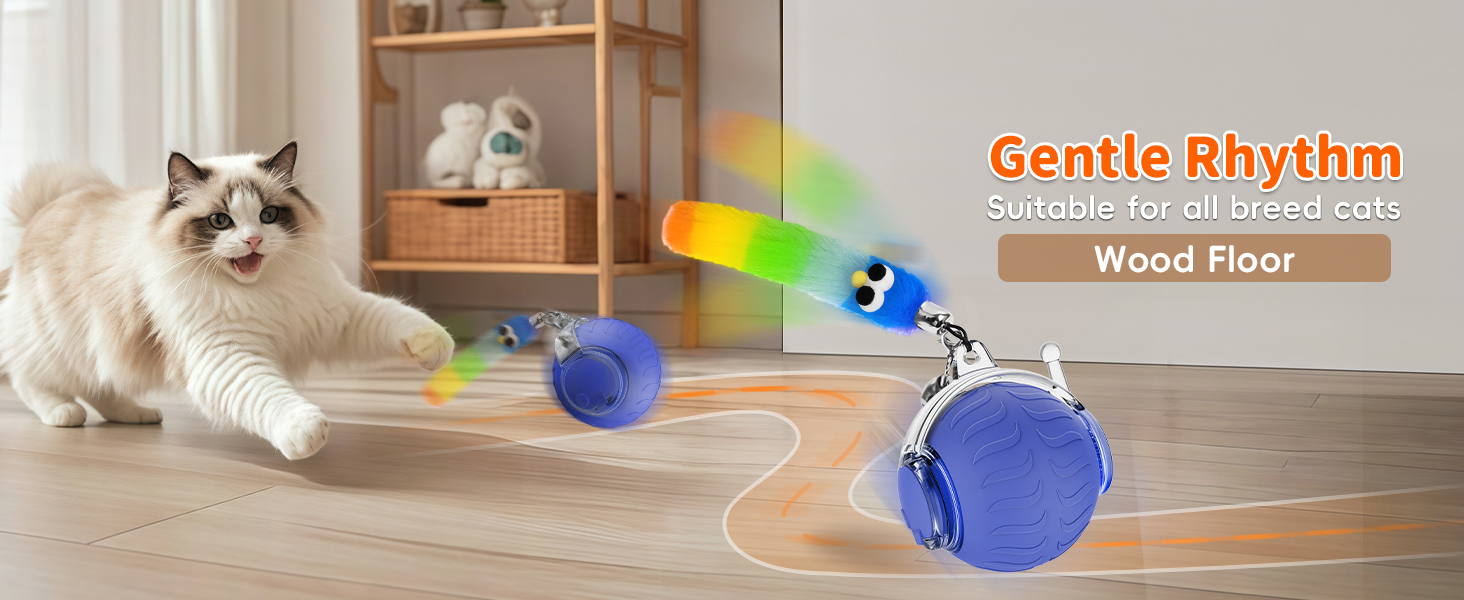 moving cat ball toy