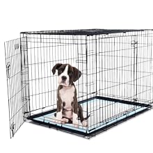 kennel