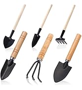 Small Garden Tool Set, 6 Pieces Iron Gardening Kit Including Hand Shovel, Transplant Shovel and H...