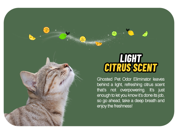 Odor Eliminator for Pets, Pet Products, Pet Lovers Accessories