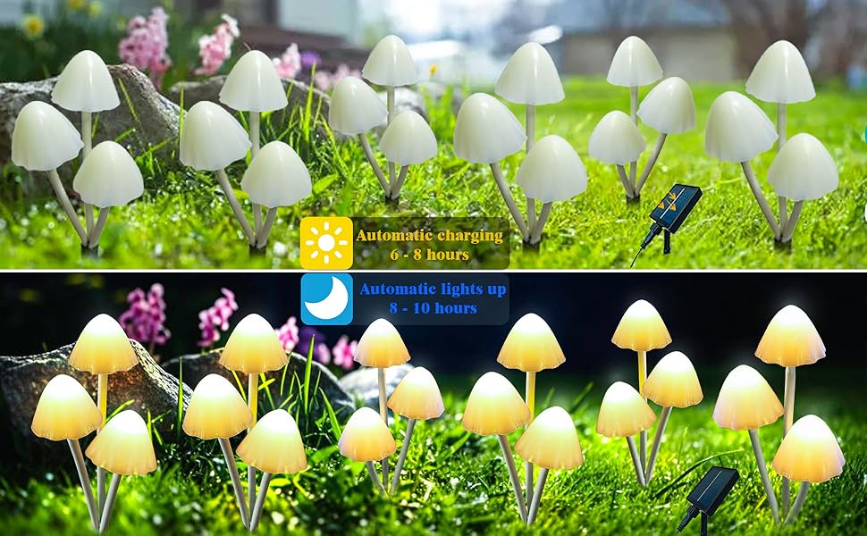 Solar Garden Lights