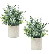 Velener 2 Pcs Small Fake Plants Eucalyptus, Artificial Plants Indoor for Shelf, Potted Eucalyptus...