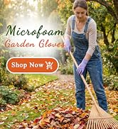 Woman gloves