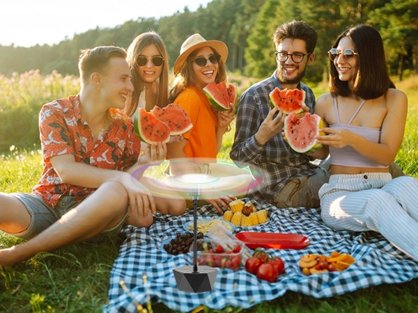 bug fans for food table