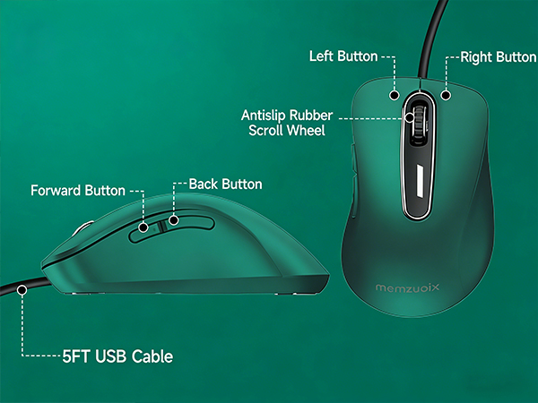 mouse