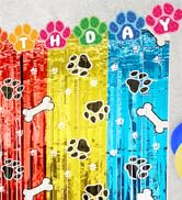 Birthday Party Decorations Foil Fringe