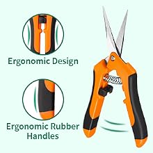 Pruning Shears