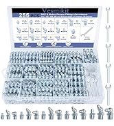 255PCS Grease Fittings Assortment,SAE & Metric Grease Zerk Fittings 1/4" 1/8" M6 M8 M10 straight ...