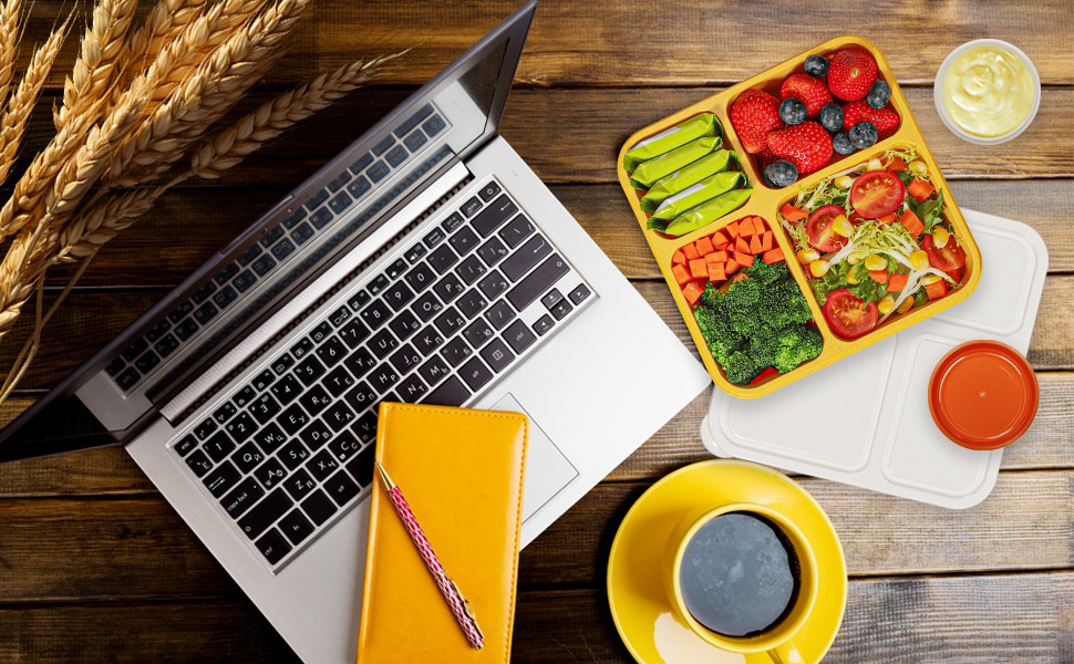 lunch box containers, snack containers, lunch containers for adults, lunch box for adults