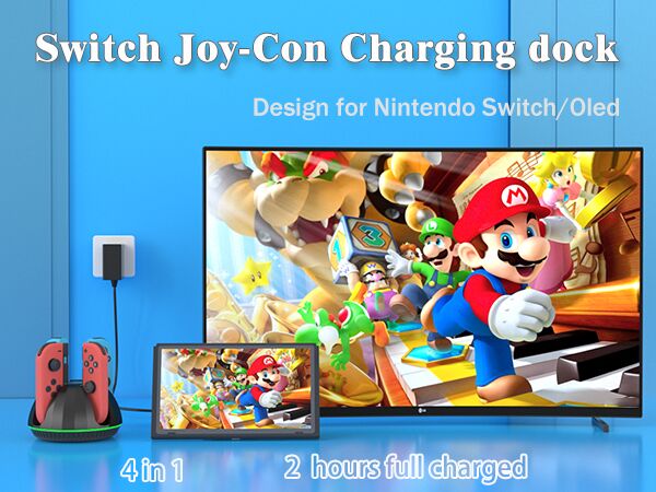 switch controller charger