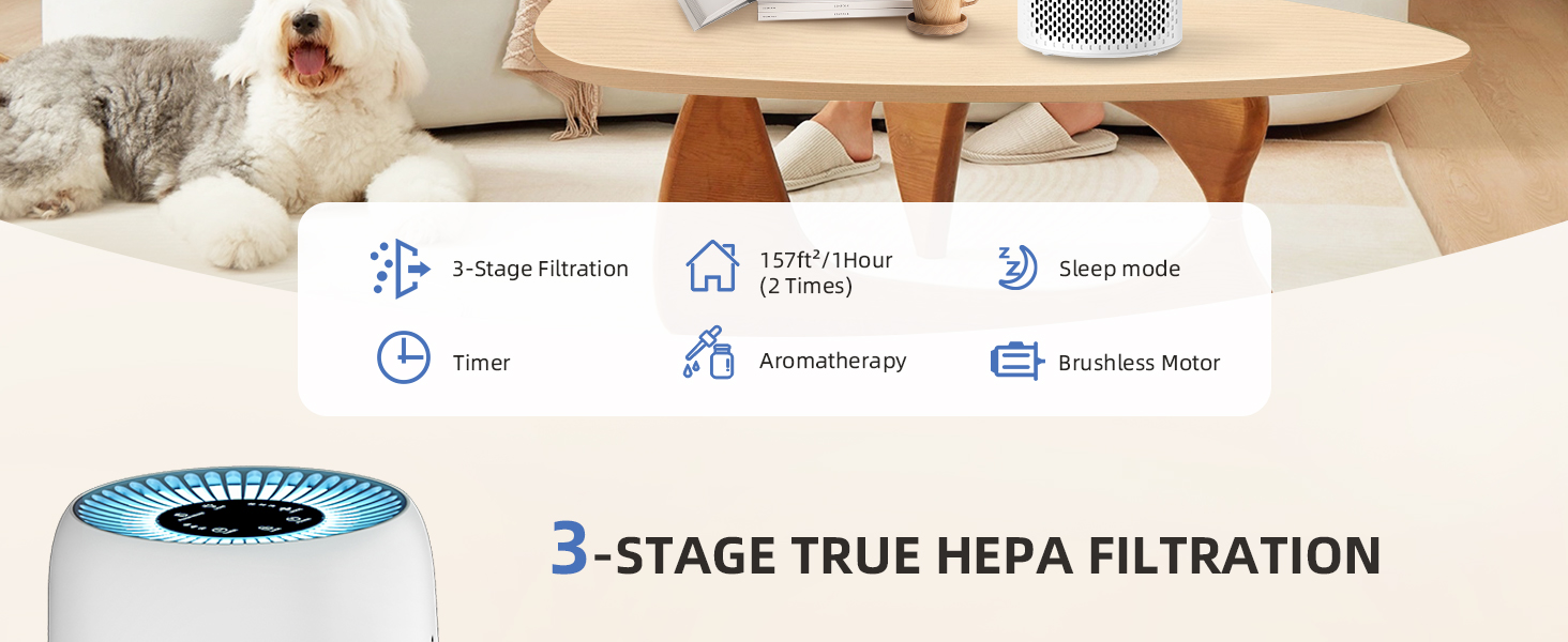 Efficient Air Purifier