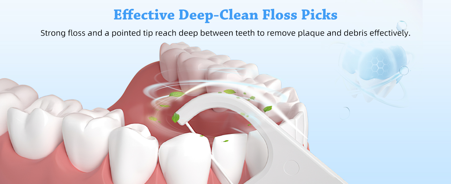 Dental Floss Picks