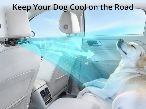 car fan for dog