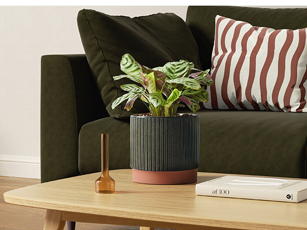 large planters