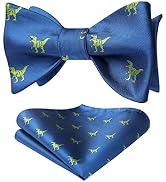 HISDERN Self Tie Bow Ties for Men Animal Fun Bowties Pocket Square Woven Silk Bowtie Handkerchief...