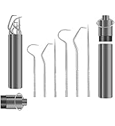 Metal Toothpicks 12PCS Reusable Stainless Steel Toothpicks,Toothpicks Holder for Outdoor Picnic C...