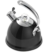 Harriet Tea Kettle Stovetop, 2.5 QT Whistling Stainless Steel Teapot, 3-Layer Base, Unique Ergono...