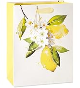 Papyrus 9" Medium Gift Bag (Citrus) for Birthdays, Weddings, Bridal Showers, Baby Showers and All...