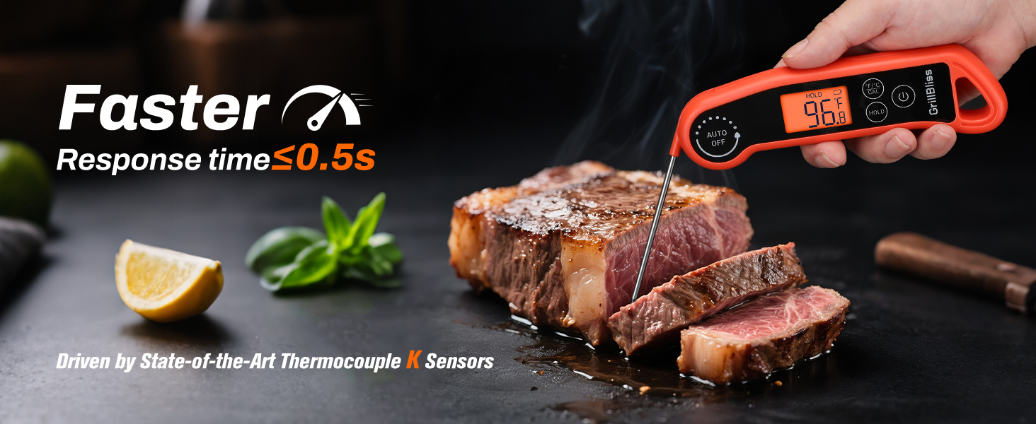 meat thermometer digital