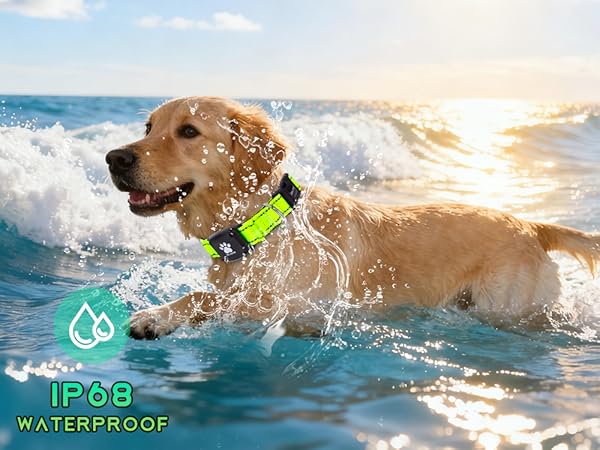MYIWB IP68 Waterproof Dog Tracking Collar, Swim-Safe, Real-Time GPS