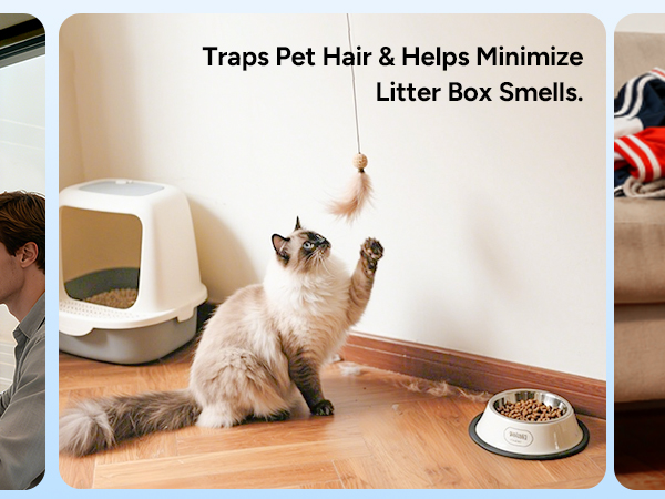 air purifiers for home pets