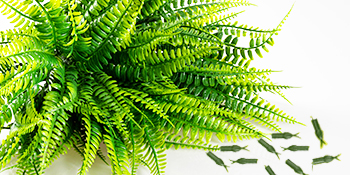 artificial plant