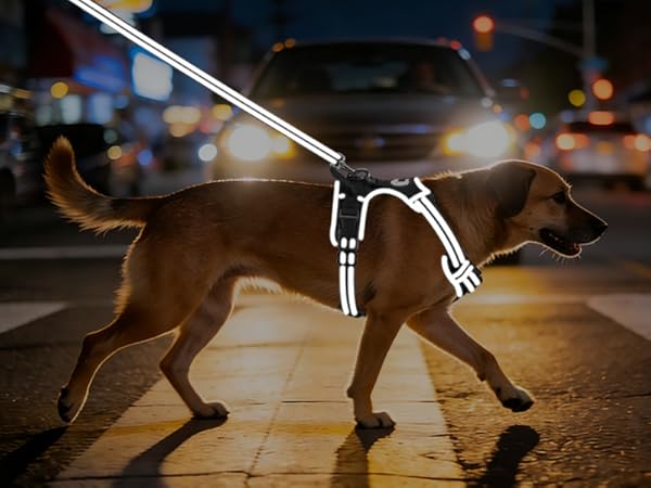 reflective dog harness