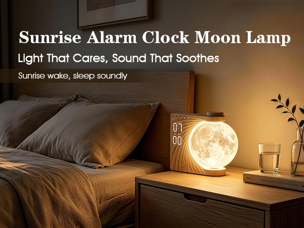 A+ 1 (moon light clock)