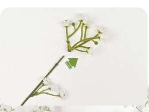 white baby breath flowers