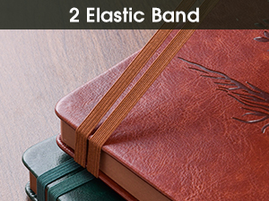 2 Elastic Band