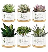 Tarklanda 6Pcs Teacher Appreciation Gifts Succulent Pots Mini Ceramic Plant Pots with Bamboo Tray...