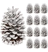 12PCS Snow 3.93 to 5.51 in Pine Cones, Large Pinecones Bulk, Natural Pine Cones for Craft Home Ac...