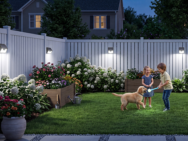 solar lights outdoor