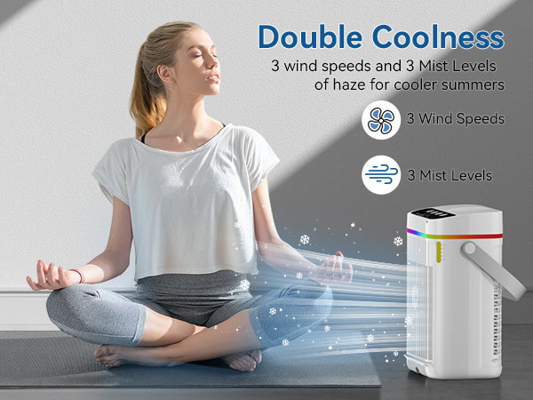 Portable Air Conditioners