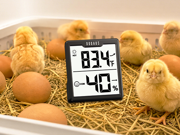 humidity gauge