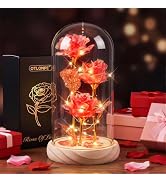 Otlonpe Mothers Day Flowers Gifts for Mom from Daughter Son, Preserved Forever Glass Light Up Ros...