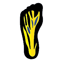 foot