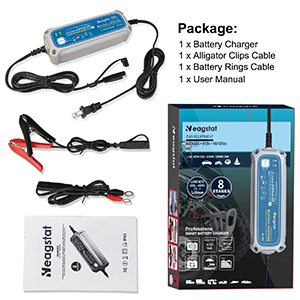 lithium battery charger
