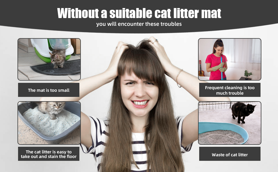 kitten litter box