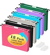 Extra Capacity Plastic Hanging File Folders,12 Pack Reinforced Hang Folder,Heavy Duty 1 Inch Expa...