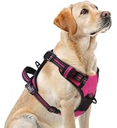 PUPTECK No Pull Dog Harness for Large, Adjustable Reflective Dog Harness with Handle Easy Control...