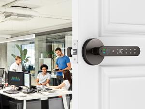 Home 0ffice Door Lock grey