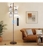 GHOOCEMLUX Dimmable Floor Lamp, Farmhouse Standing Lamp with Elegant Metal Cage, Industrial Tall ...