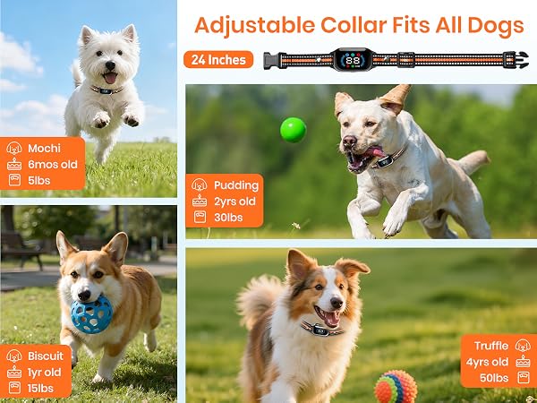 small dog shock collar with remote control barking shock collar for dogs small shock collar for dogs