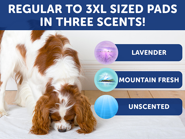 Pad Scents