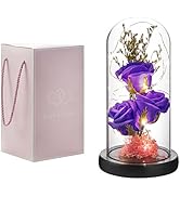 oridom Preserved Flower Gift, Light Up Rose in Glass Dome, Eternal Forever Rose Flower Gifts for ...