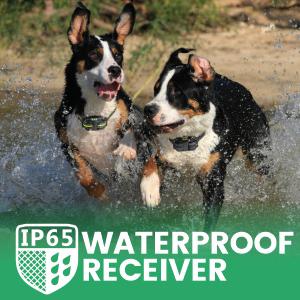 waterproof dog training collar