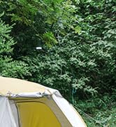 Naturehike Camping Tent, 2/3 Person Double Layer, Instant Easy Setup, Waterproof PU2000mm, 54 MPH...