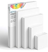 GOTIDEAL Stretched Canvas, Multi Pack 4x4", 5x7", 8x10",9x12", 11x14" Set of 10, Primed White - 1...